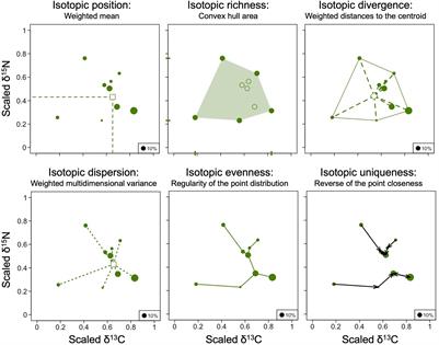 Variation in Community-Level Trophic Niches of Soil Microarthropods With Conversion of Tropical Rainforest Into Plantation Systems as Indicated by Stable Isotopes (15N, 13C)